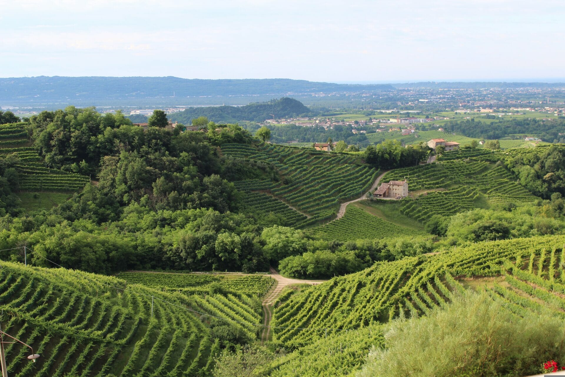 yachtsandmore lifestyle luxury Italian vineyards wines
