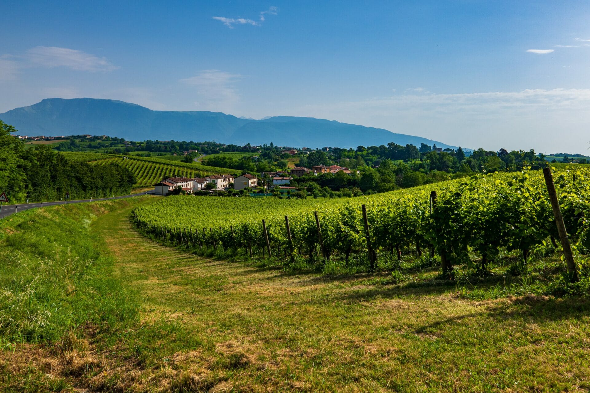 yachtsandmore lifestyle luxury Italian vineyards
