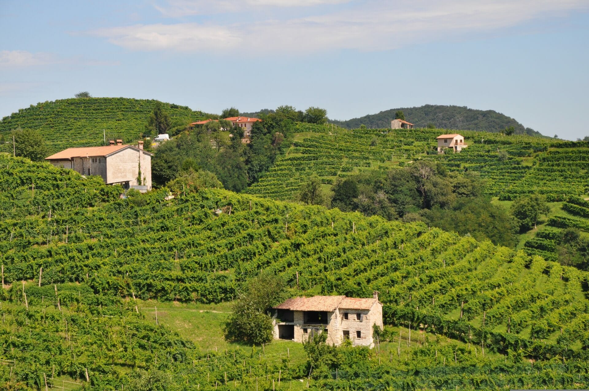yachtsandmore lifestyle luxury Italian winery